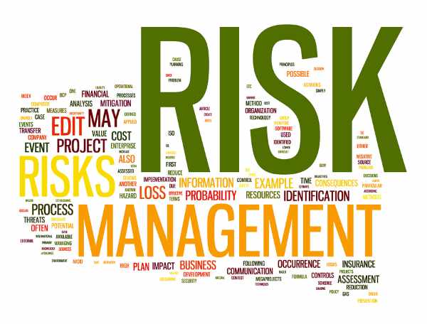 Professional Master in Risk Management