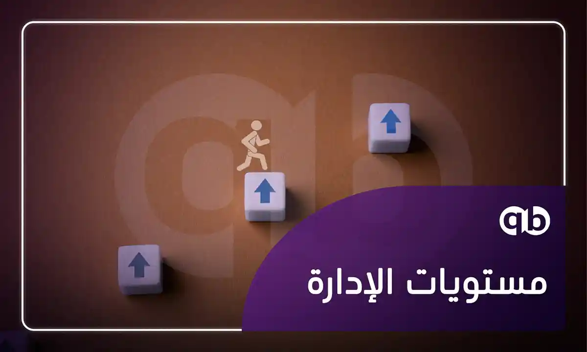 مستويات الإدارة
