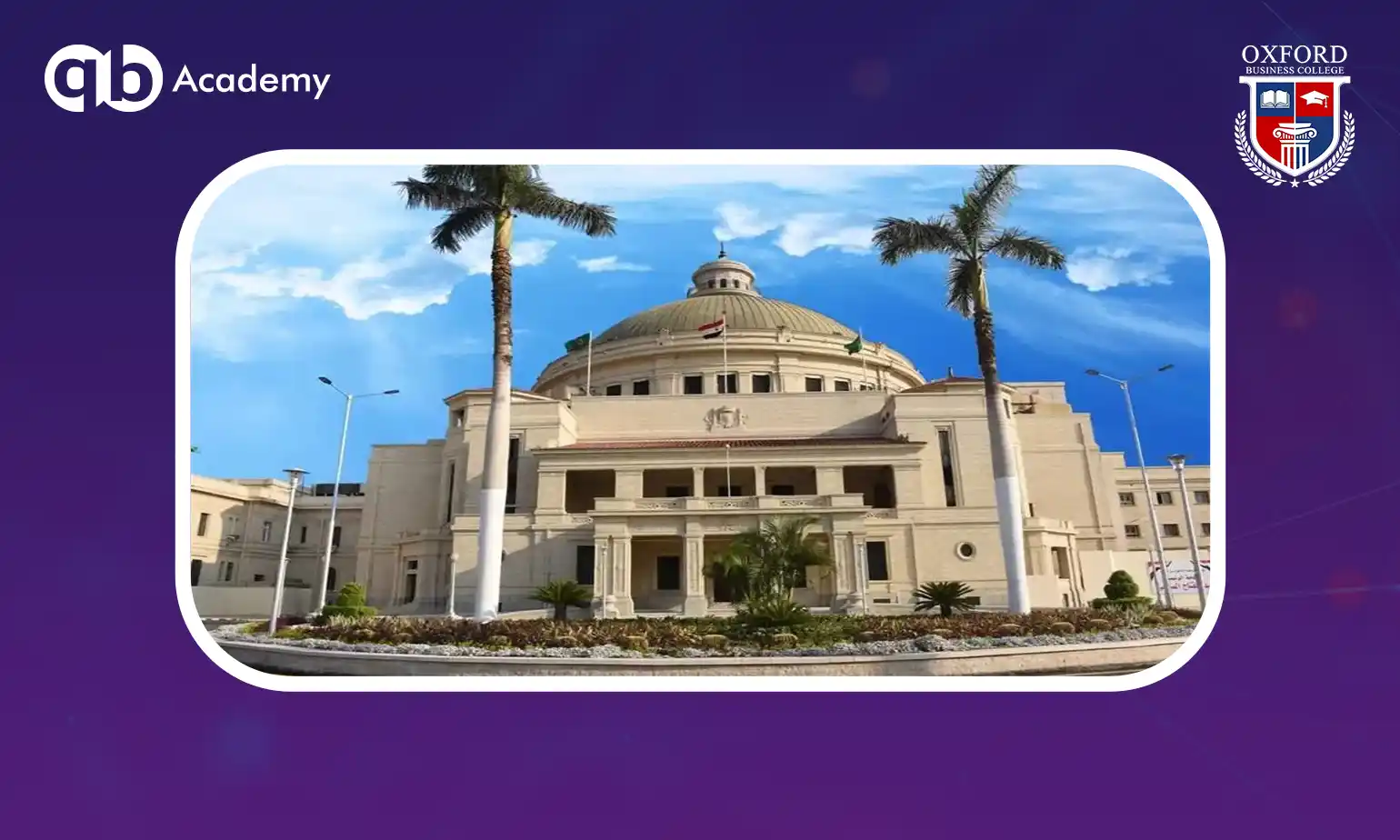 تكاليف الجامعات المصرية