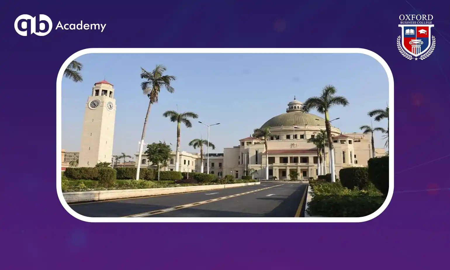 جامعات مصر لتخصص الأعمال