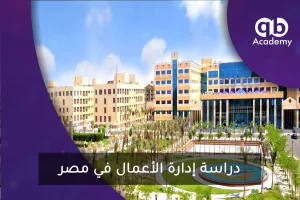 دراسة إدارة الأعمال في مصر