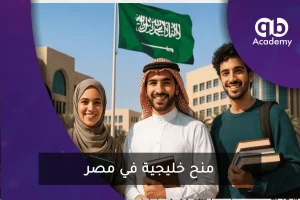 منح خليجية في مصر